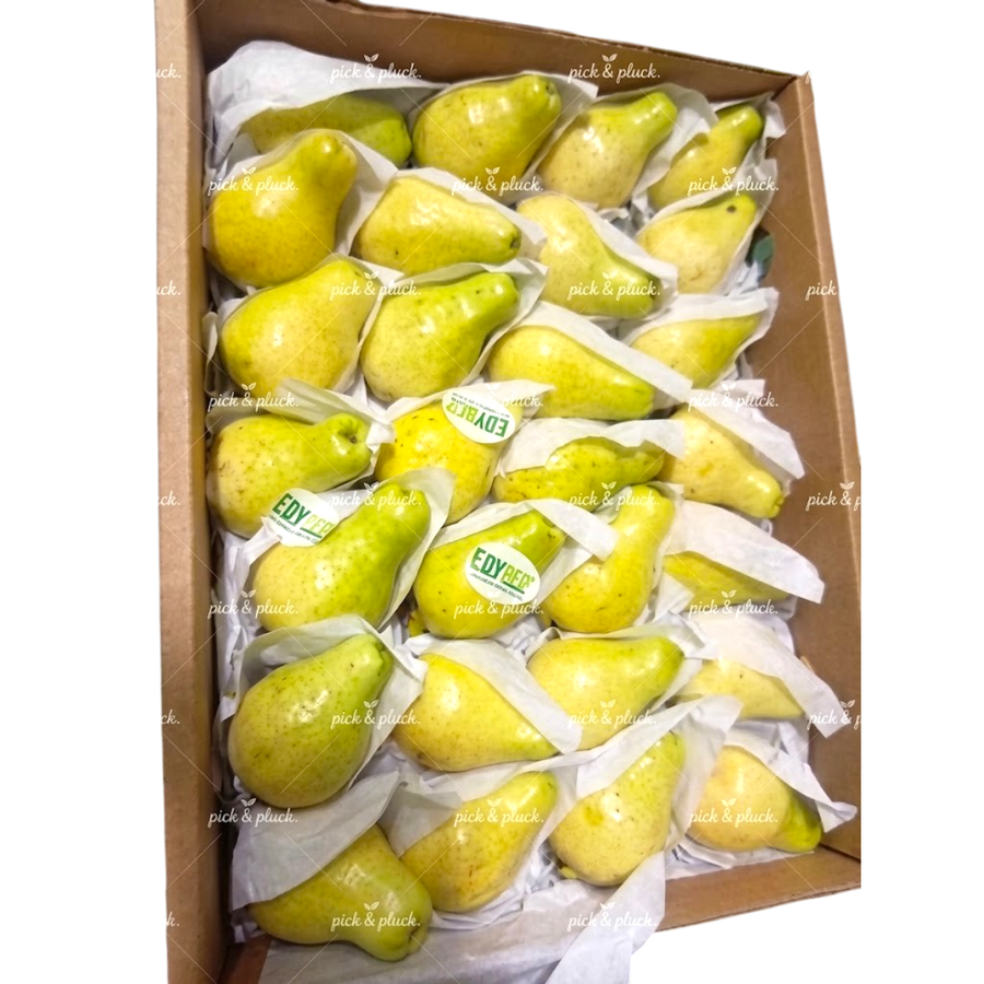 Guava Egypt (Box)