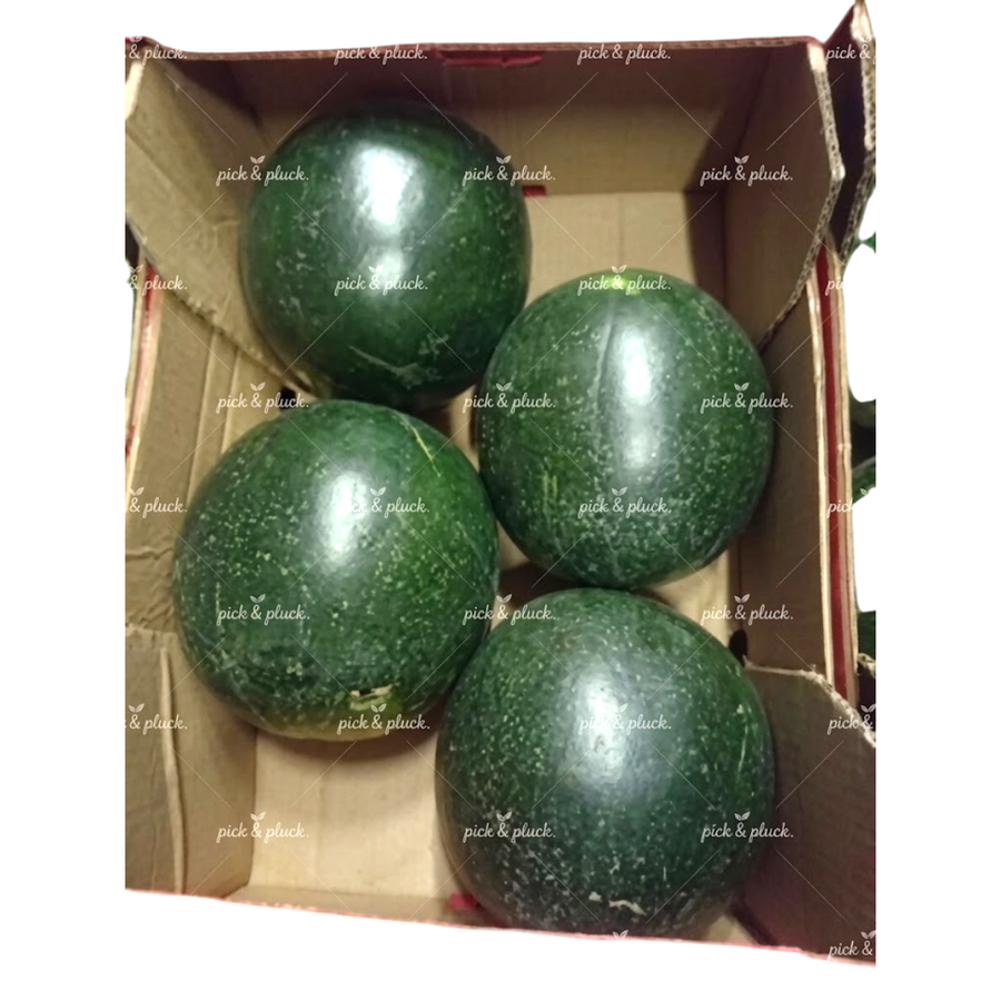 Watermelon (Piece)