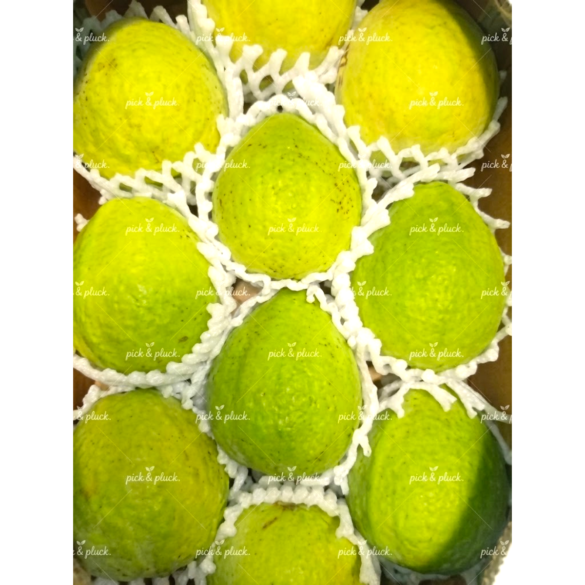 Brazil Guava (Box)
