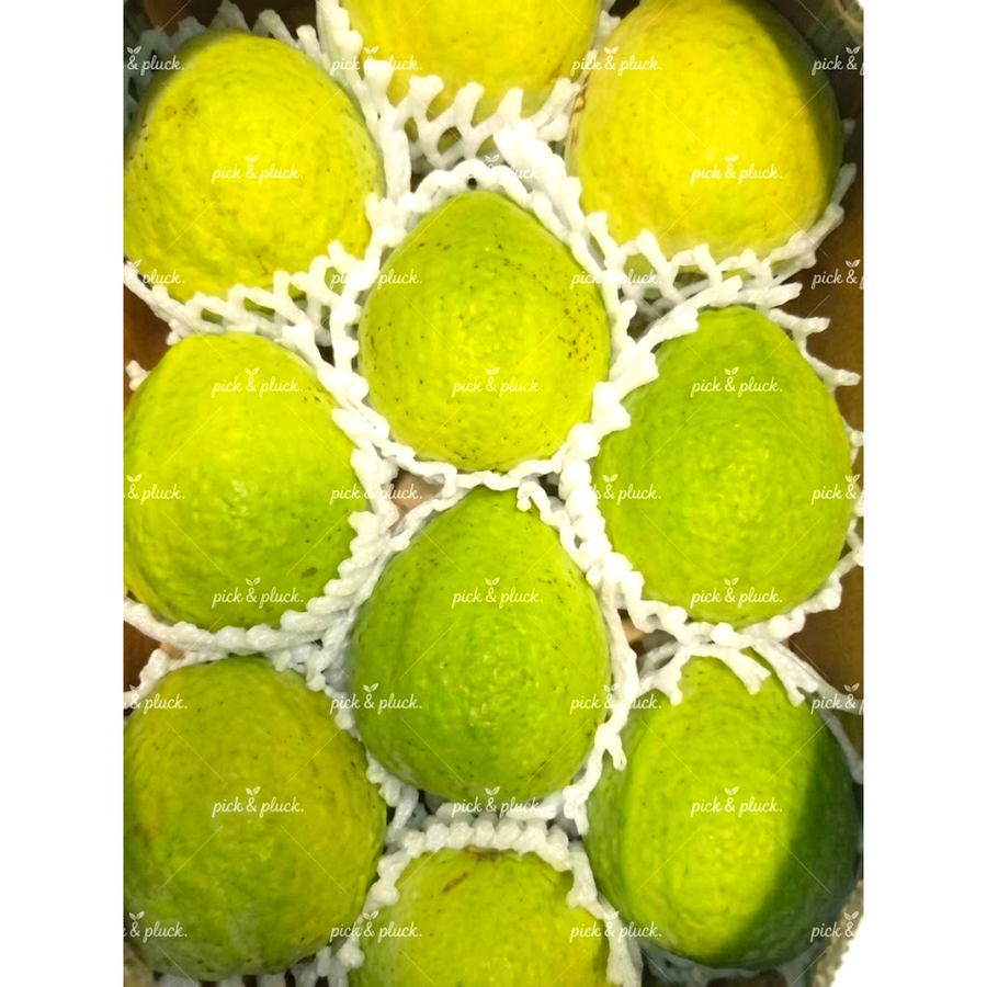 Brazil Guava (Box)