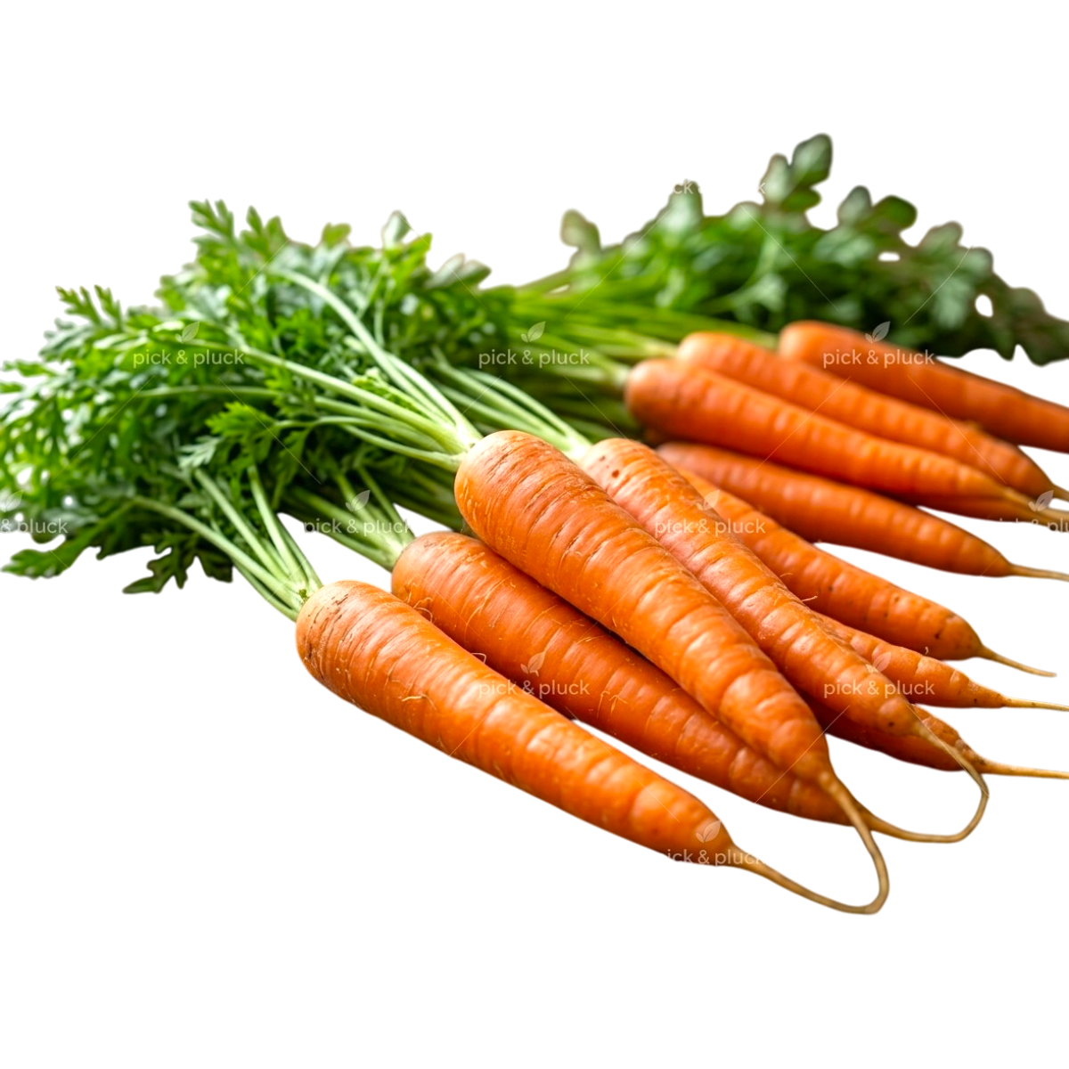 Carrots 1kg
