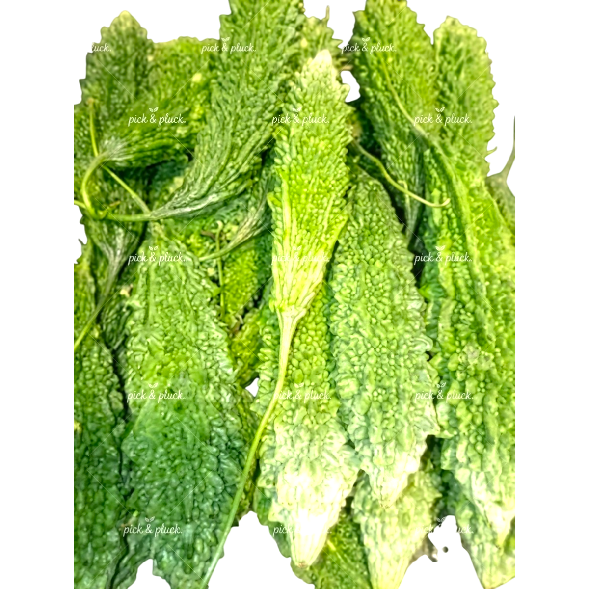 Bitter Gourd 250g