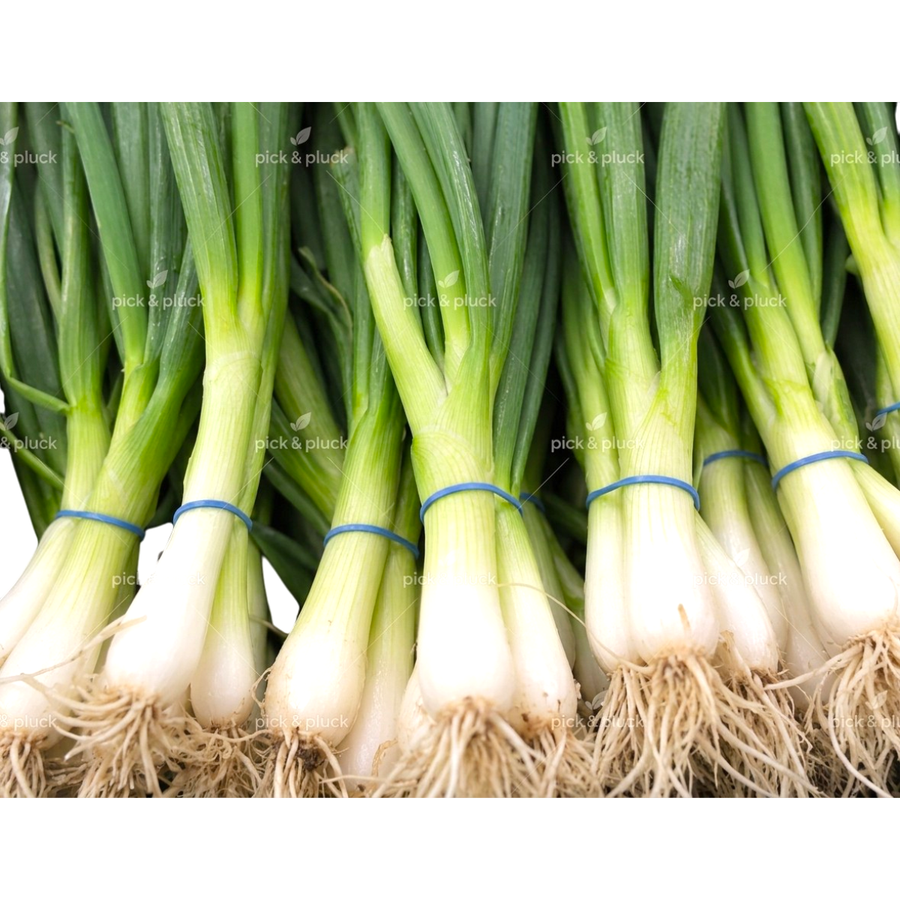 Spring Onion (Bunch)