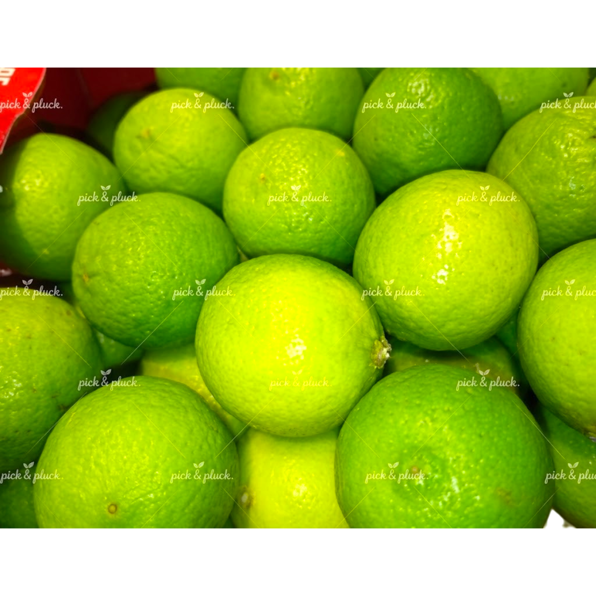 Lime (Piece)