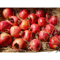 Pomegranate (Piece)