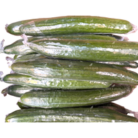 Cucumbers (piece)