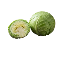 White Cabbage (Head)