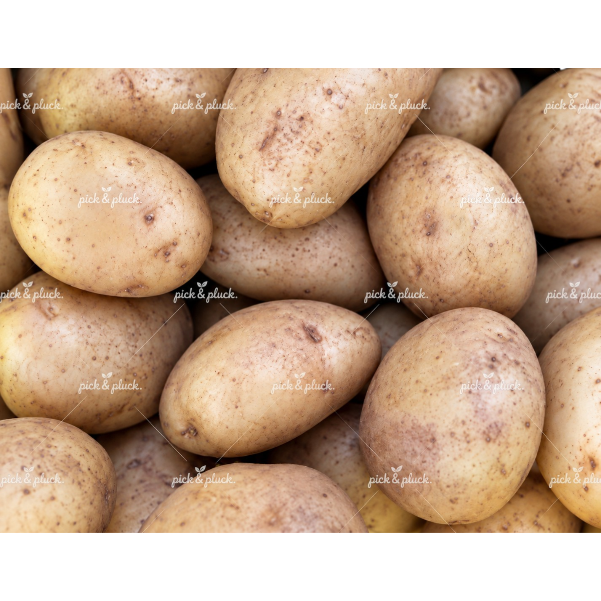 White Potatoes 2kg