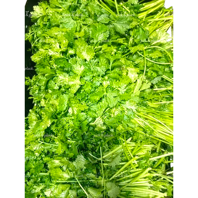Coriander (Bunch) 120g-150g