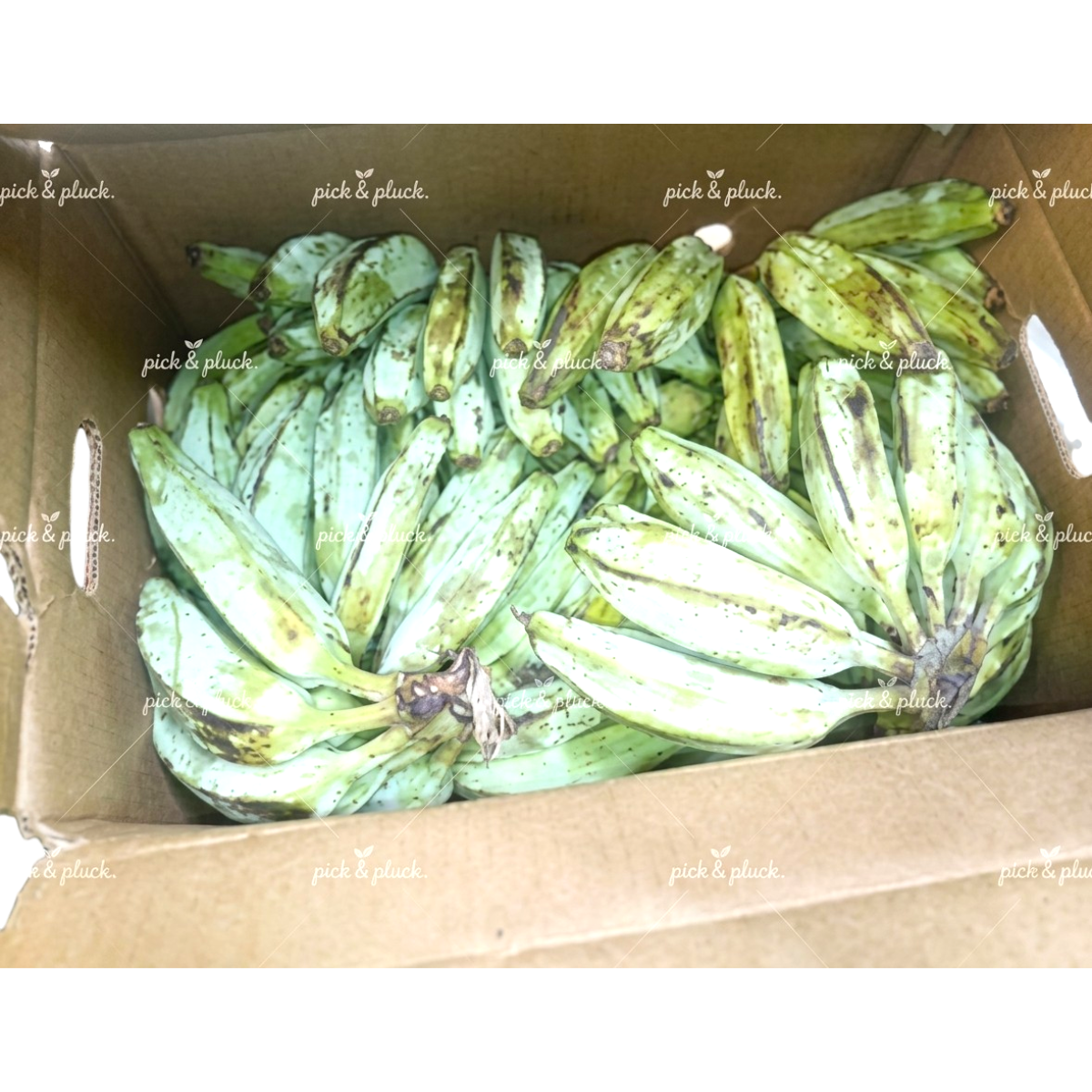 Ash Plantain 250g