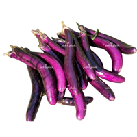 Long Purple Brinjal (Long Ravaya) 500g