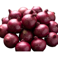Red Onions 1kg