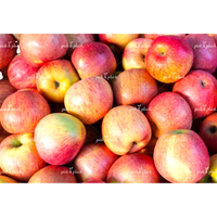 Royal Gala Apple (Piece)