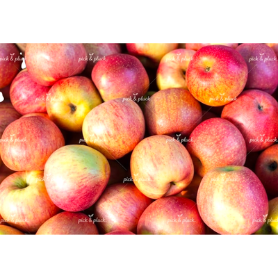 Royal Gala Apple (Piece)